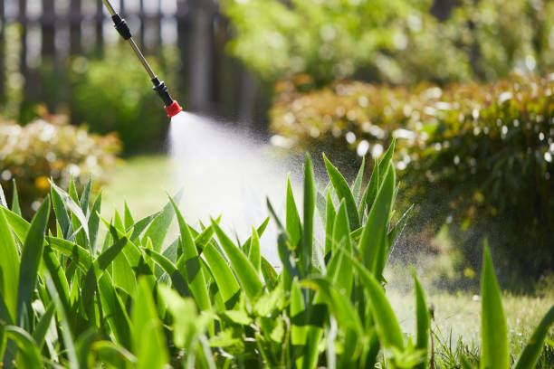 Tamper-Resistant Bait Stations for Rodents in Dunn Loring