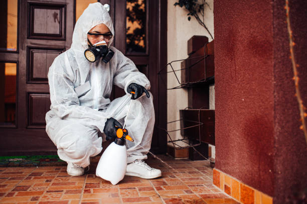 Attic and Crawl Space Rodent Treatment in Dunn Loring