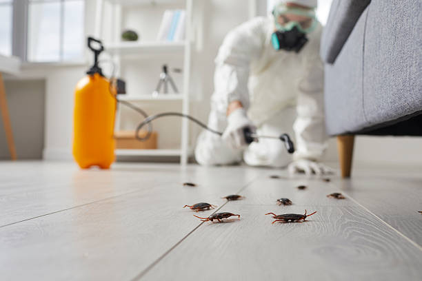 Commercial Rodent Management in Dunn Loring